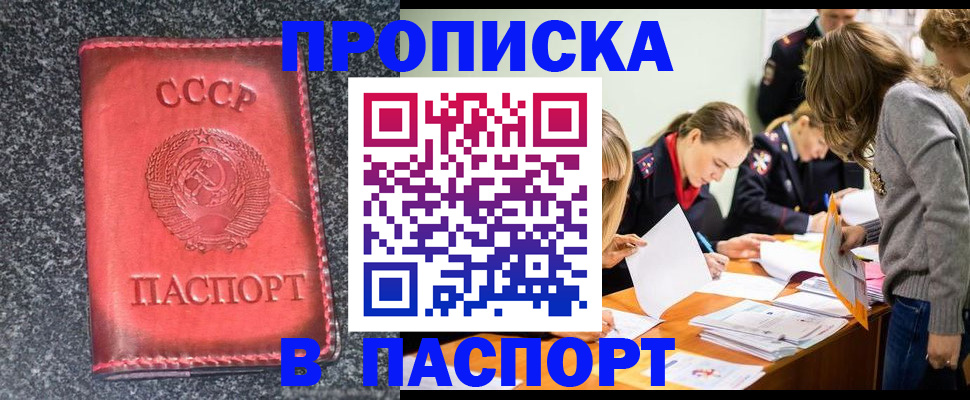 прописка для школы в Холмске